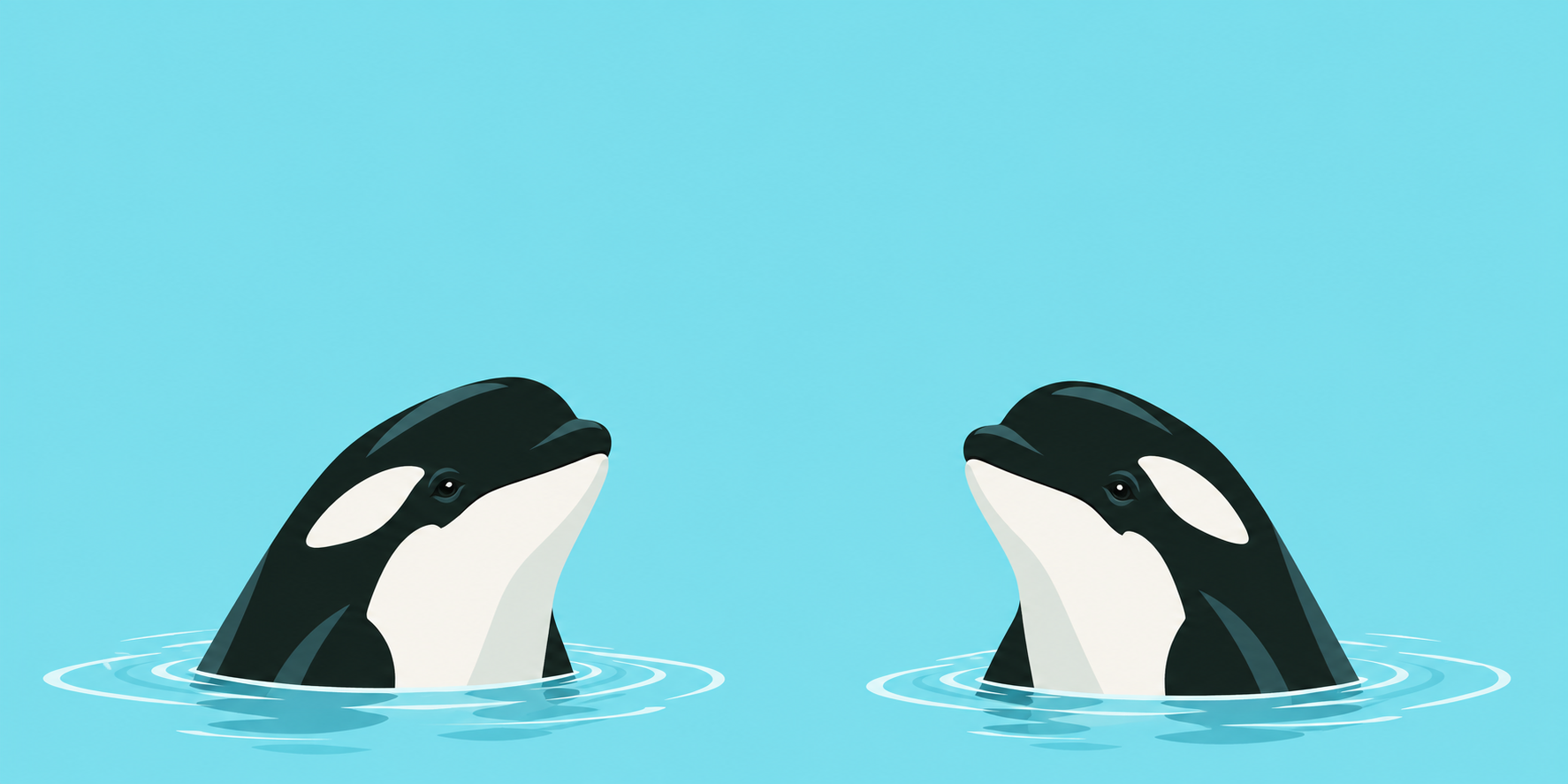 Two orcas rising out of the water to talk to each other